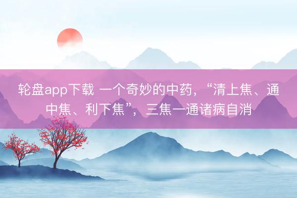 轮盘app下载 一个奇妙的中药，“清上焦、通中焦、利下焦”，三焦一通诸病自消
